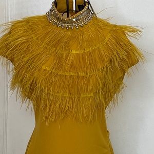 Gold Embellished Feather Top with Crystal Collar